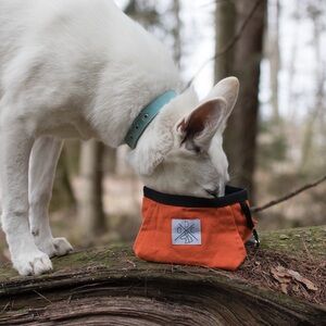 Dog Travel Bowl | Holds Food or Water